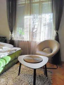 Studio apartment CENTER - Nova Varoš