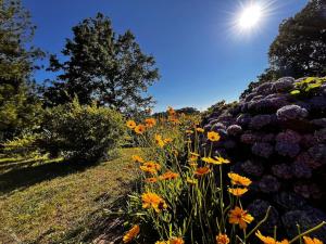 Holiday Home Serrari