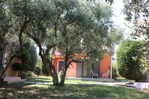 Vassia Holiday Homes