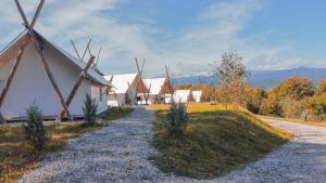 PINIALE GLAMPING TRIB