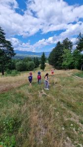 PINIALE GLAMPING TRIB