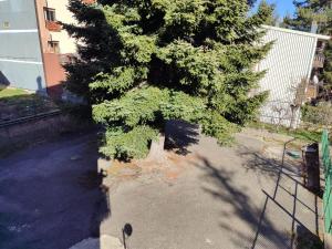 Apartment mit 2 Schlafzimmern