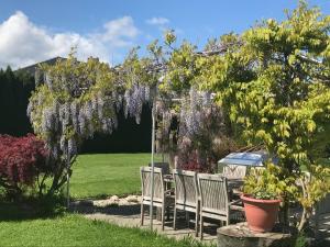 IV Gemütliche Ferienwohnung in Pool-Position