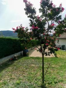 B&B / Chambres d'hotes Le Refuge de Manou : photos des chambres