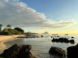 Beach and Mountain - Tamarin