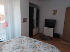 Apartament Alex