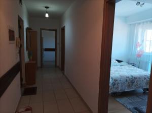 Apartament Alex