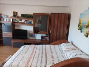 Apartament Alex