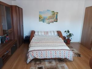 Apartament Alex