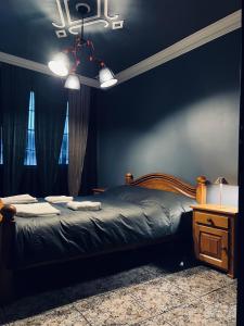 Central Apartment Black Cat