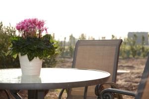 Agriturismo La Violetta