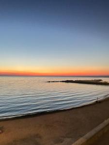 Agnese Experience Suite