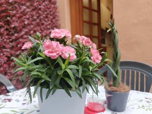 Il giardino segreto