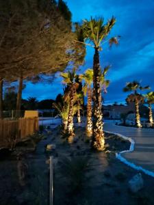 Maisons de vacances Bungalow de 3 chambres avec piscine partagee a Canet en Roussillon : photos des chambres