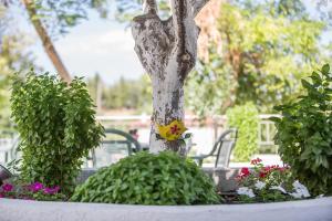 Double or Twin Room with Garden View