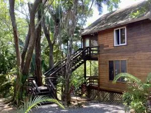 Patti's Paradise - Punta Pimienta