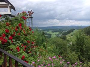 Ferienwohnungen Dorfliebe Dörnberg