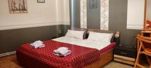 Große Wohnung in dritter Etage mit Terrasse im Altstadtzentrum - Ferienwohnung Chiplakoff