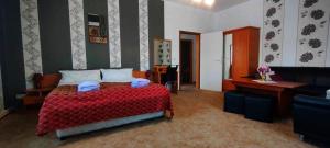 Große Wohnung in dritter Etage mit Terrasse im Altstadtzentrum - Ferienwohnung Chiplakoff