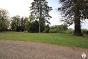 B&B / Chambres d'hotes Chateau des Metairies : photos des chambres
