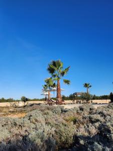 Villa Melody Novalja