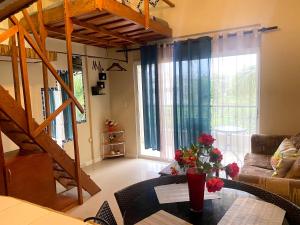 Private Study Punta Cana