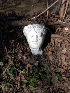 Il Castello Di Venere