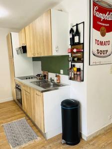 Appartements Le Cottage Breton, hypercentre historique StB : photos des chambres