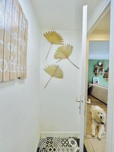 Appartements Le Cottage Breton, hypercentre historique StB : photos des chambres