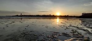 English Point Residence Beach Apartments Mombasa