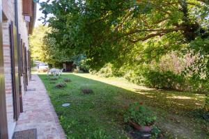 Apartment with Garden View