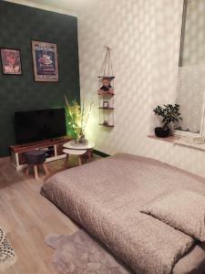 B&B / Chambres d'hotes La maison de Mona : photos des chambres