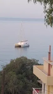 Apartment Dolphins - Playiá