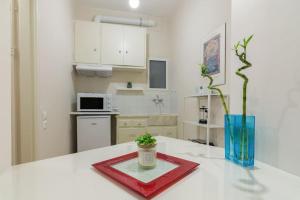 Bright & Spacious 1BR Apt Athens, Goudi