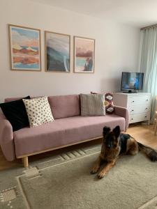 Uroczy apartament w Krynicy Zdrój