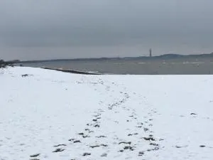 Baltic Seaperle with swimming pool - Barendorf