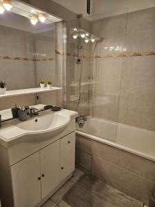 Appartement Paul Eluard E proche stade de France