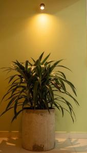 Luxury Living in Parque Lleras & Full House