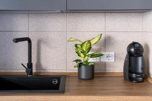 residence borgo secolo