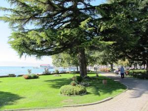 Lake city