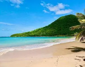 studio :paradise beach - Anse Marcel 