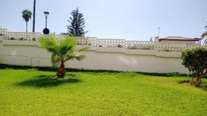 Luminoso y tranquilo estudio zona Botánico