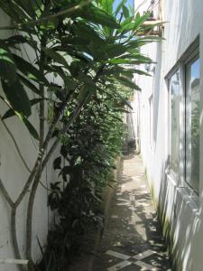 Hostal Poseidon del Mar