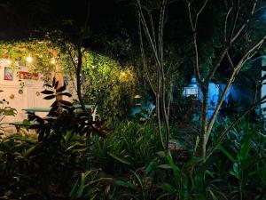 Double Mango Villa