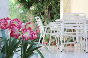 Paradise Departamentos