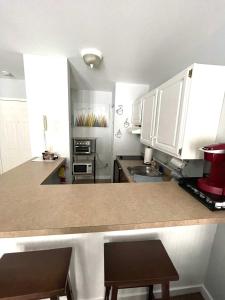 Mountain View Suite on Jiminy Peak Ski On Off -New
