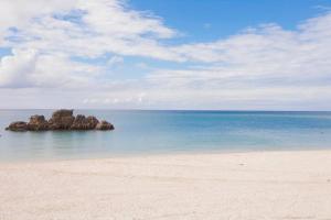 アラハビーチから徒歩3分! コンビニやスーパーまで徒歩1分! Ai House