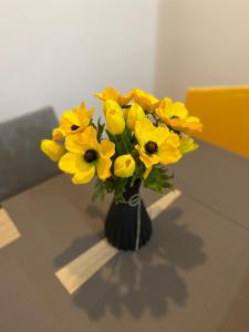 Clouds&Stars Retreat