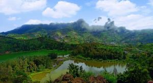 Căn Hộ 2 Phòng Ngủ (Two-Bedroom Apartment)