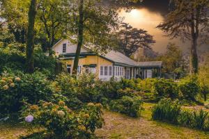 StayVista at Rose Cottage - Bonfire & Scenic View